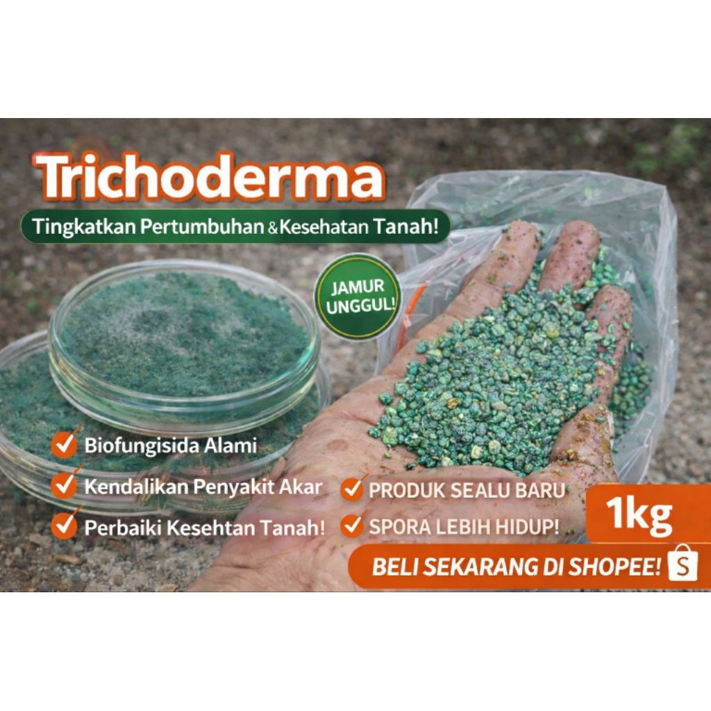 Jual Trichoderma murni Tricoderma isolat premium murni F1 Biofungisida ...