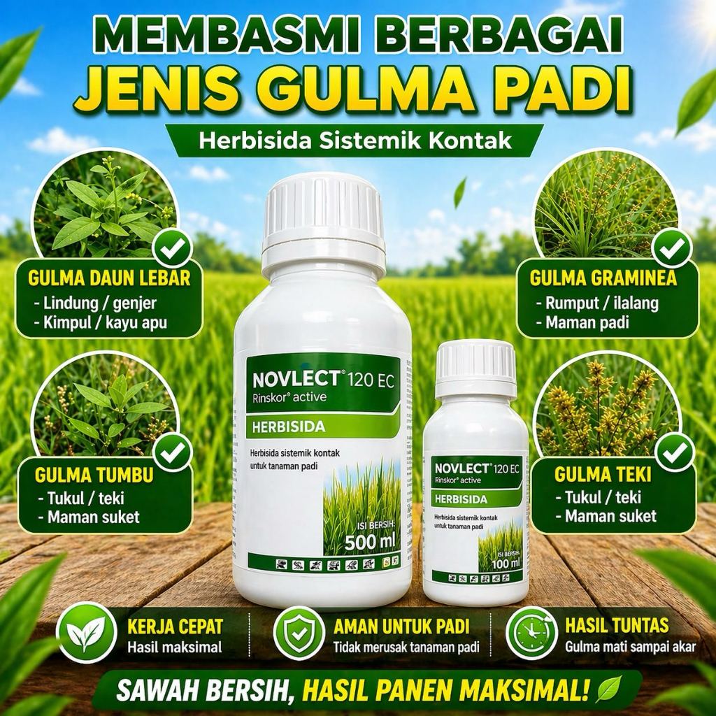 Jual Herbisida NOVLECT 120 EC 500ml Asli Corteva | Beli 3 Gratis 1 ...