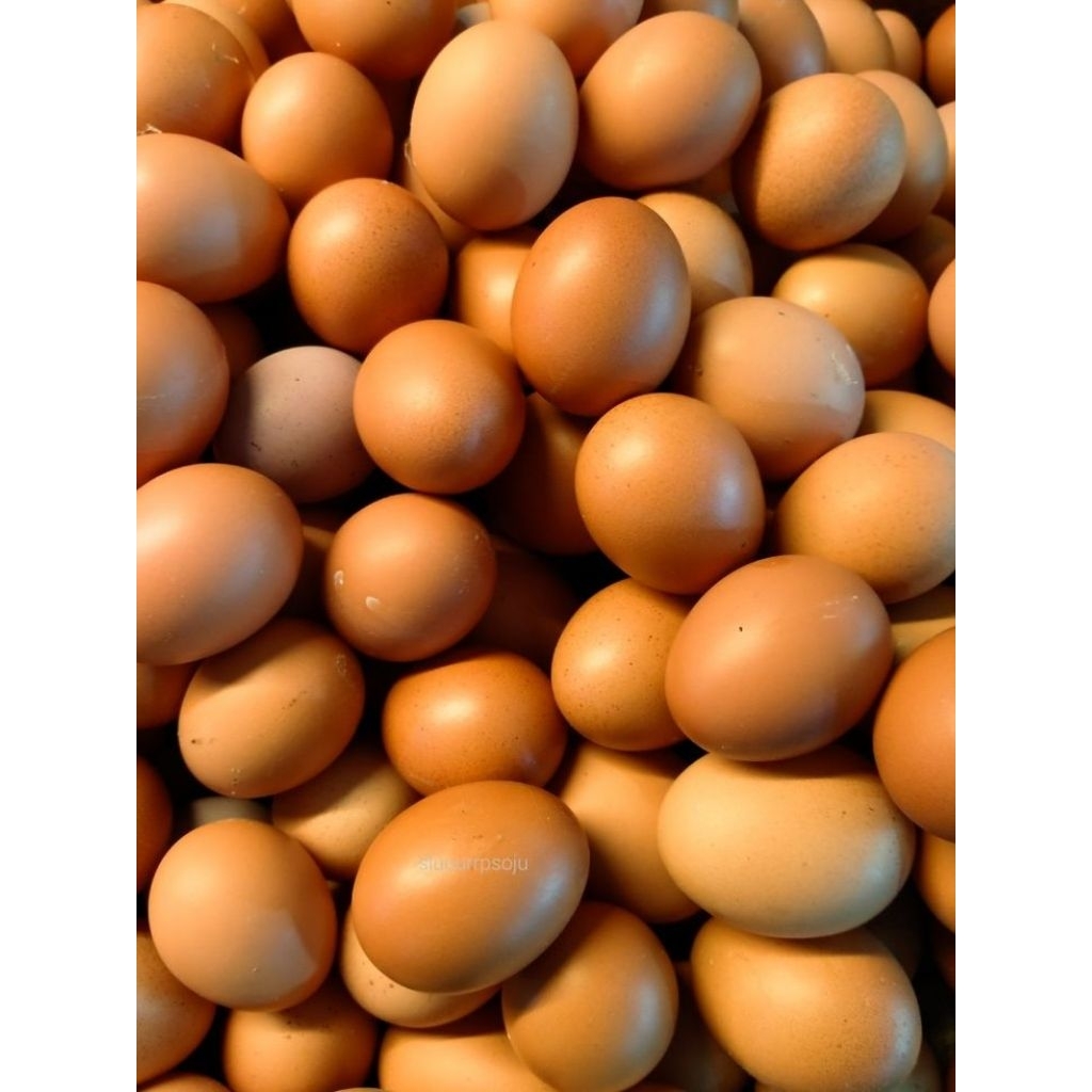 Jual telur ayam ras 1kg , telur ayam lokal | Shopee Indonesia