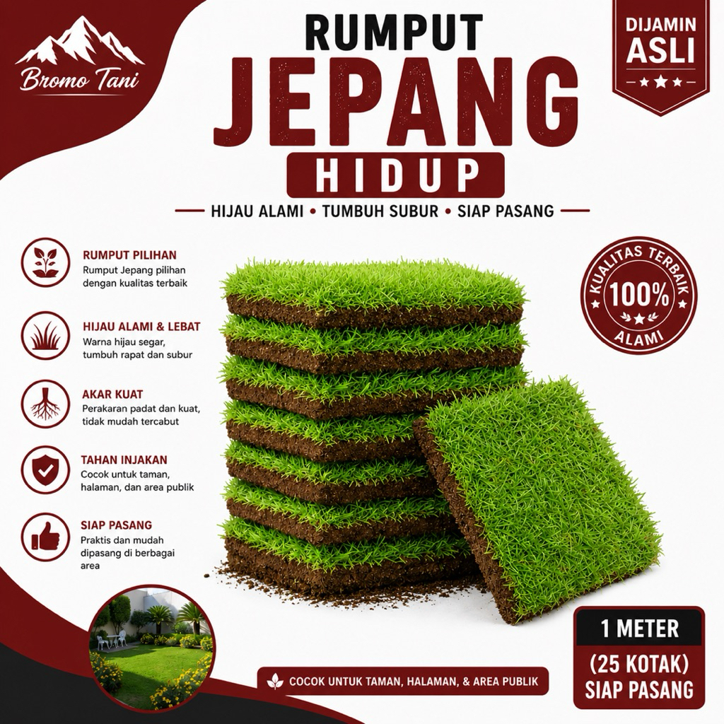 Jual BROMO TANI Rumput Jepang Hidup 1 Meter Isi 25 Kotak / Rumput Hias ...