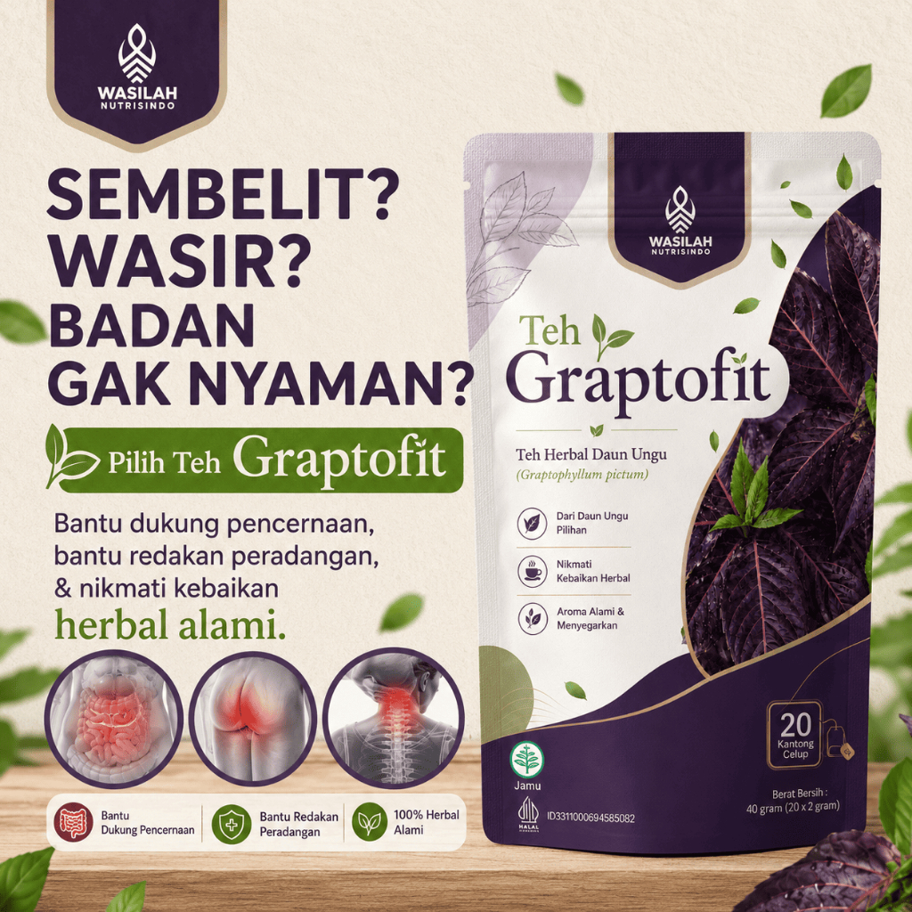 Teh Graptofit Herbal Daun Ungu 20 Teh Celup Untuk Kesehatan Wasir Ambeien