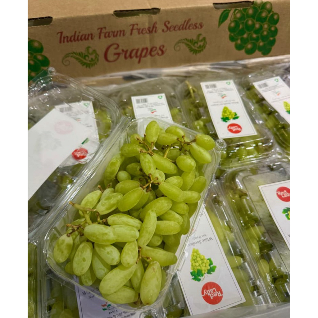 Jual ANGGUR JARI HIJAU 1 PACK 500g | Shopee Indonesia