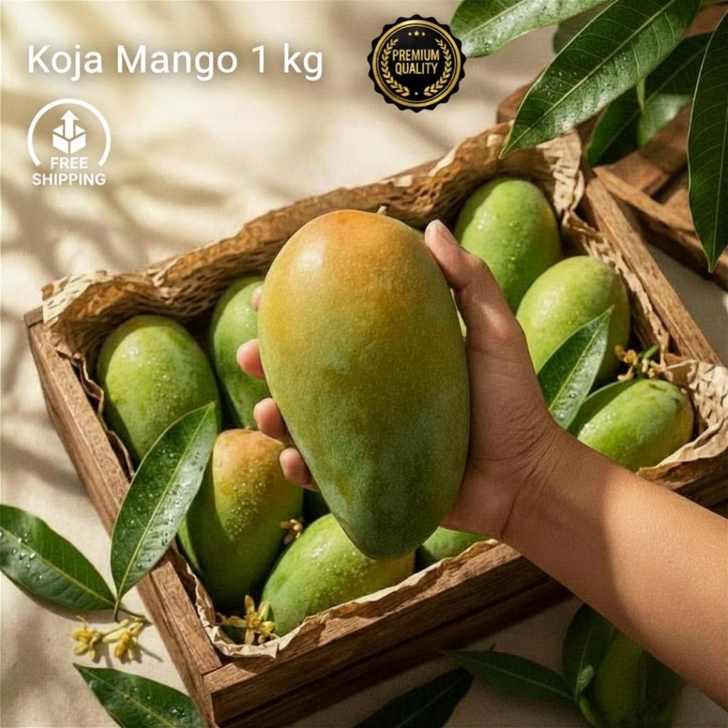 Jual Mangga Kiojay 1 Kg - Bisa Instan Suka Bumi | Shopee Indonesia