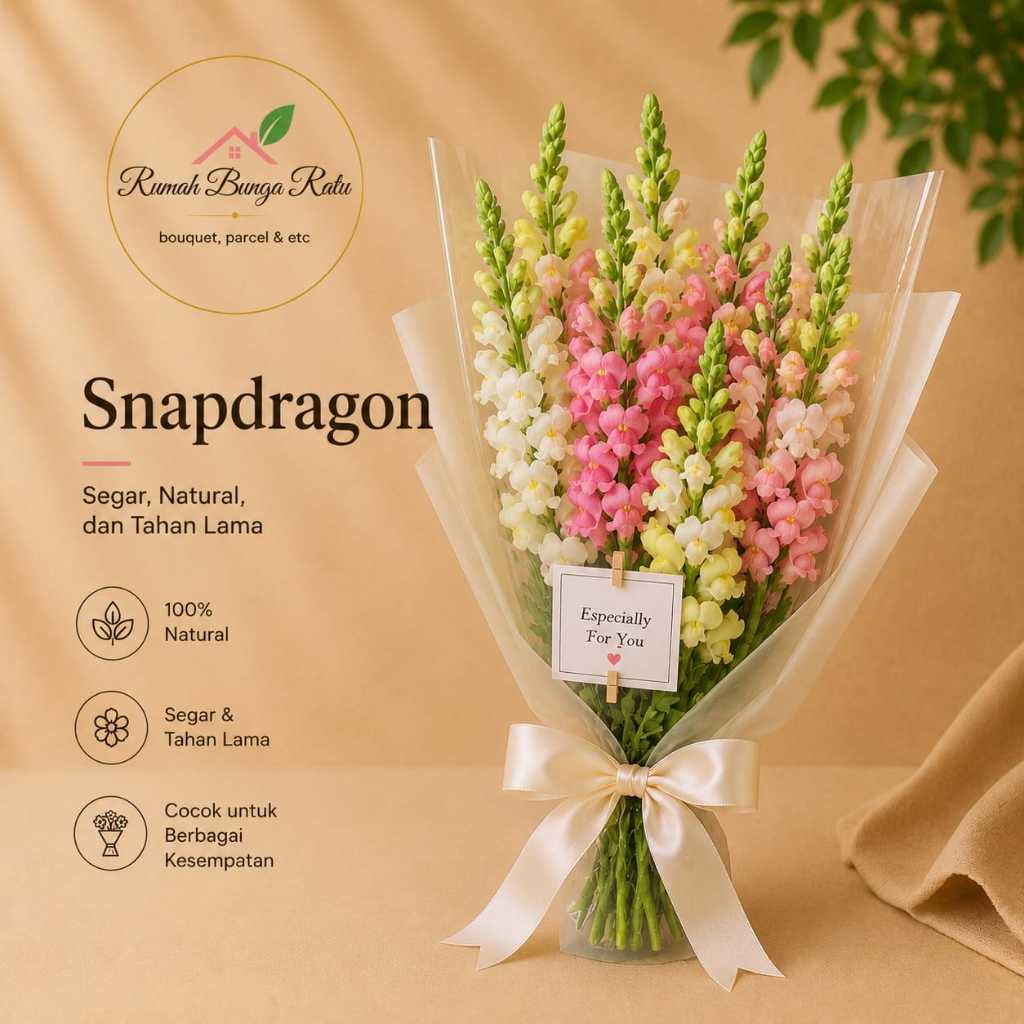 Jual BUNGA SNAPDRAGON | BUNGA POTONG | SNAPDRAGON SATUAN BT05 | Shopee ...