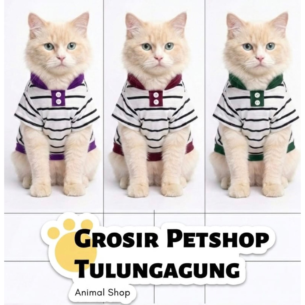 Jual Kaos Kucing Mayo Motif Garis Kerah Series Lucu Gemas | Shopee ...