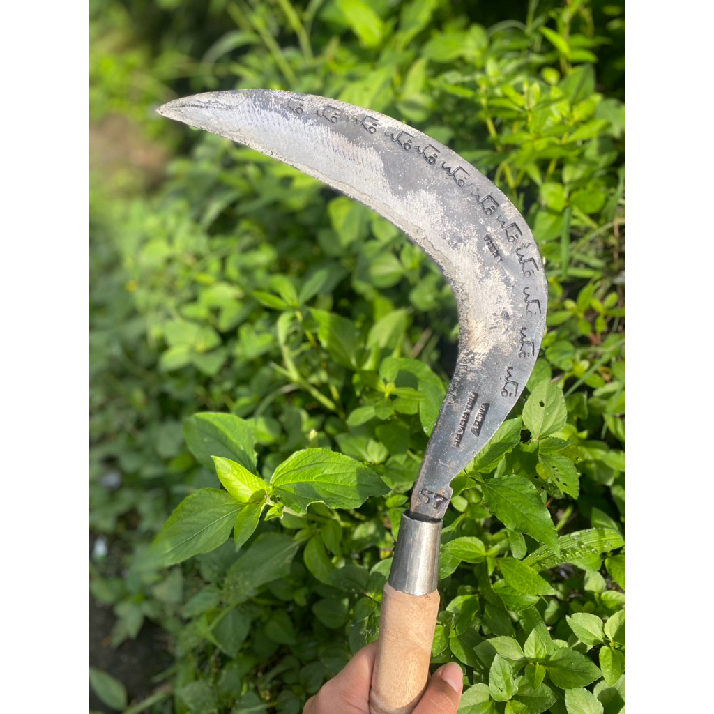 Jual arit rumput dan padi baja isen selap cap arab wonosobo asli ...