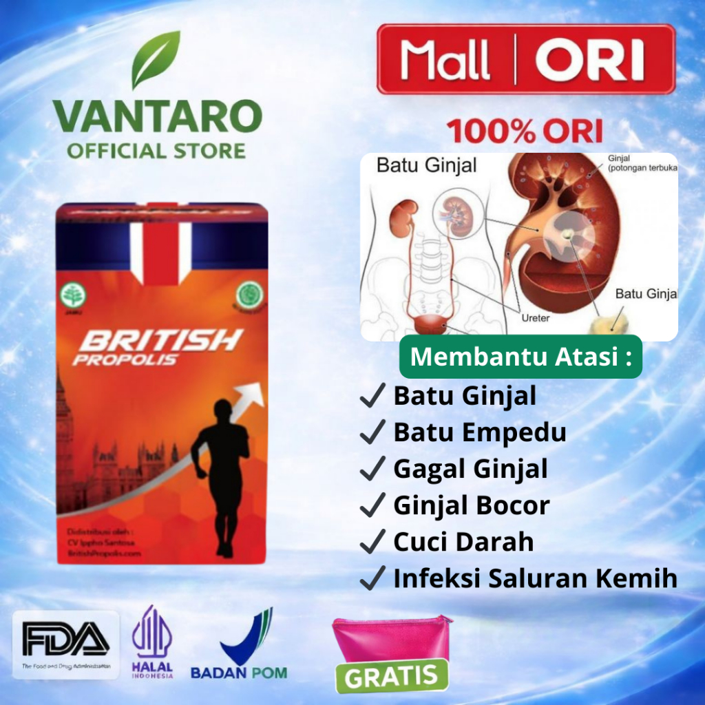 Jual British Propolis Original Suplemen Herbal Penghancur Batu Ginjal ...