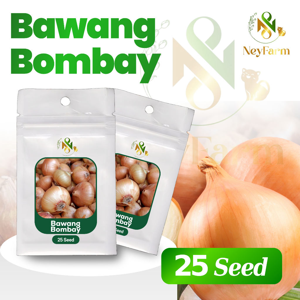 25 Biji Benih Bawang Bombay Sayuran Buah Bawang Bombay Benih Sayur Berkualitas