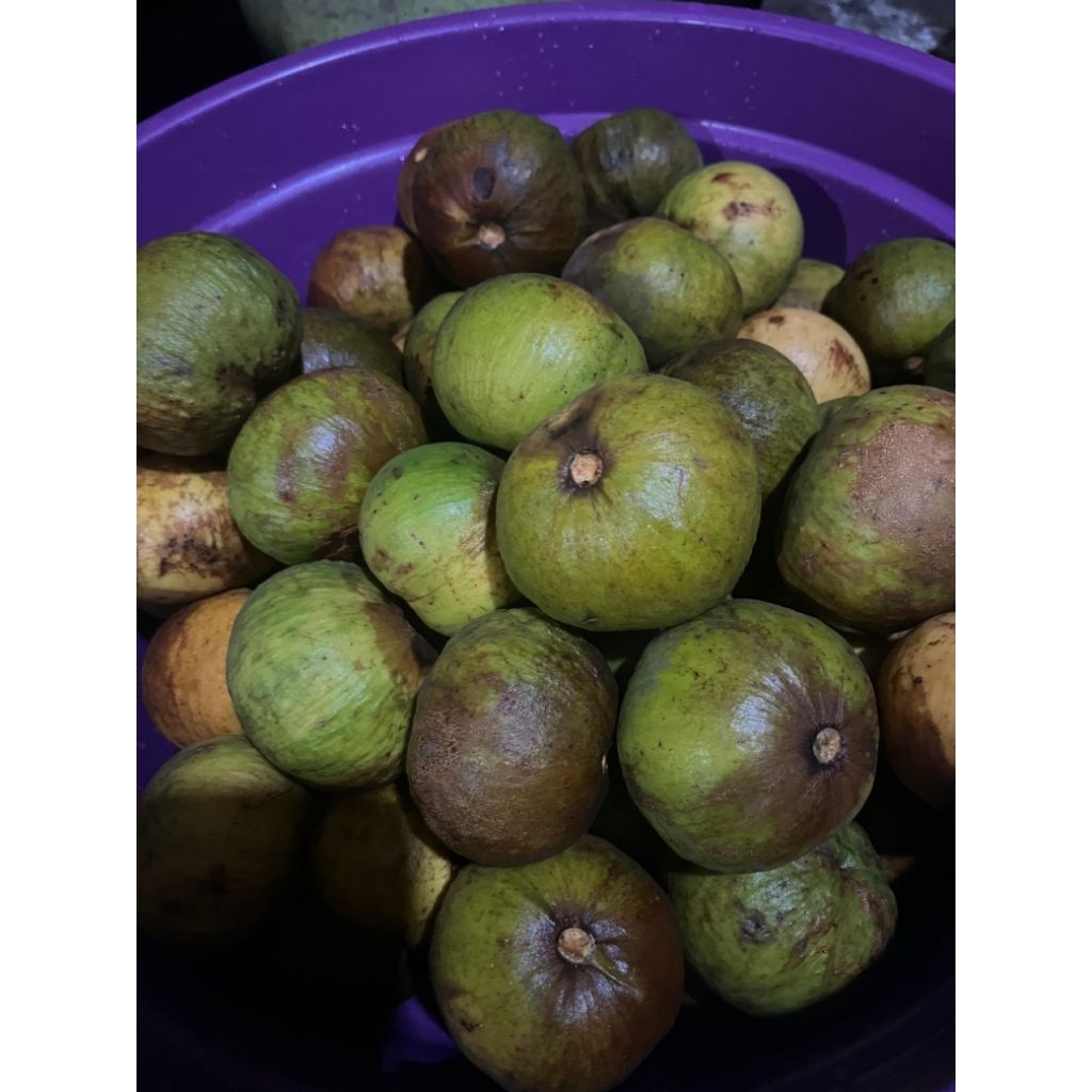 Jual Kecapi/Sentul | Shopee Indonesia