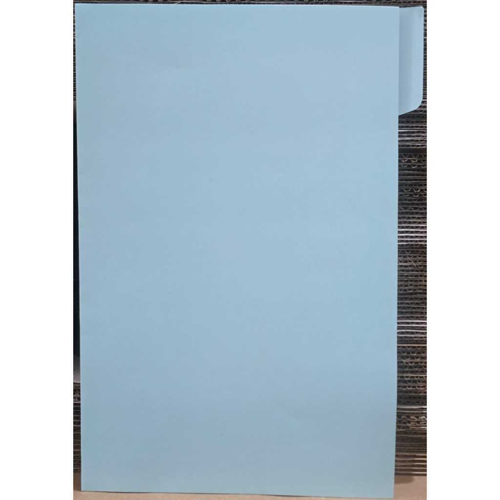 Jual MAP FOLDER ARSIP BIRU POLOS ISI 1 PACK 100 LEMBAR | Shopee Indonesia
