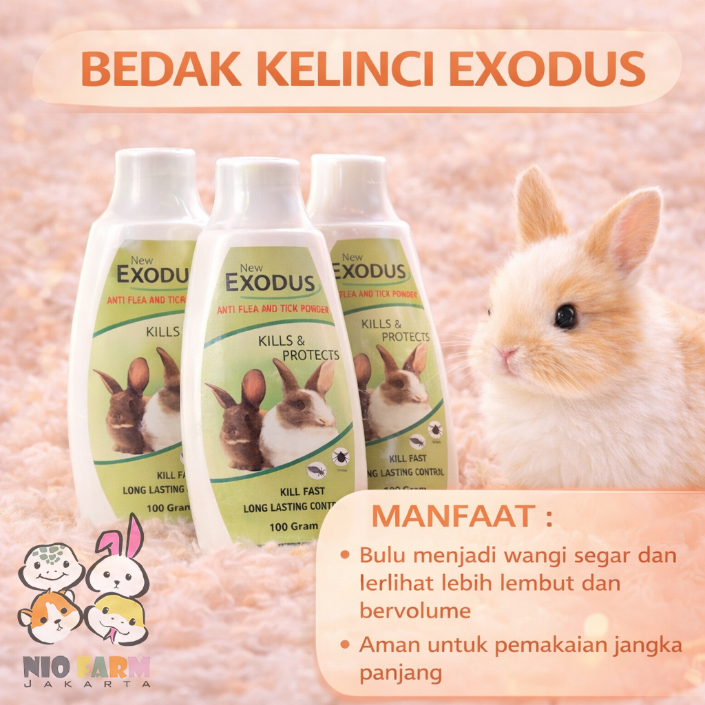 Jual Bedak Kelinci Anti Kutu, Caplak & Ketombe untuk Marmut – Exodus ...