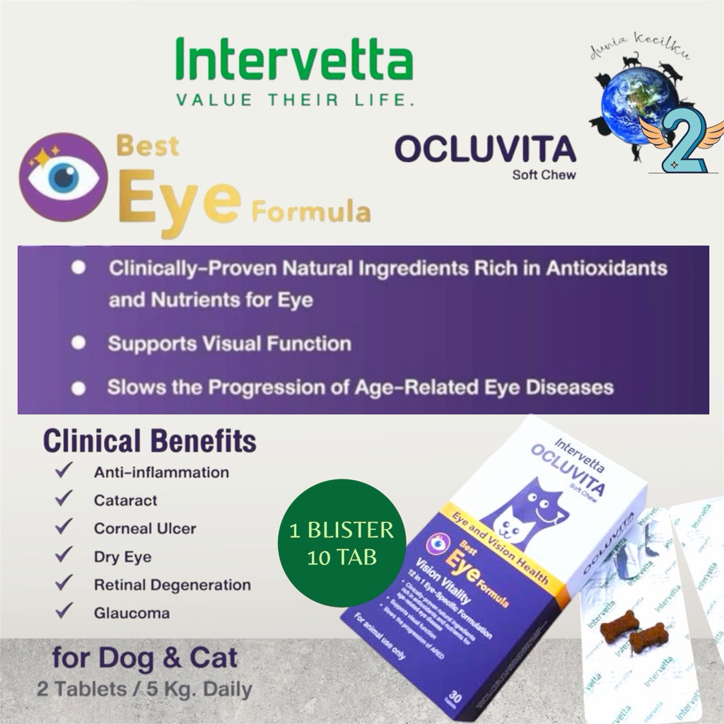 Jual Intervetta OCLUVITA Cat Dog Best Eye Formula Vitamin Mata Kucing ...