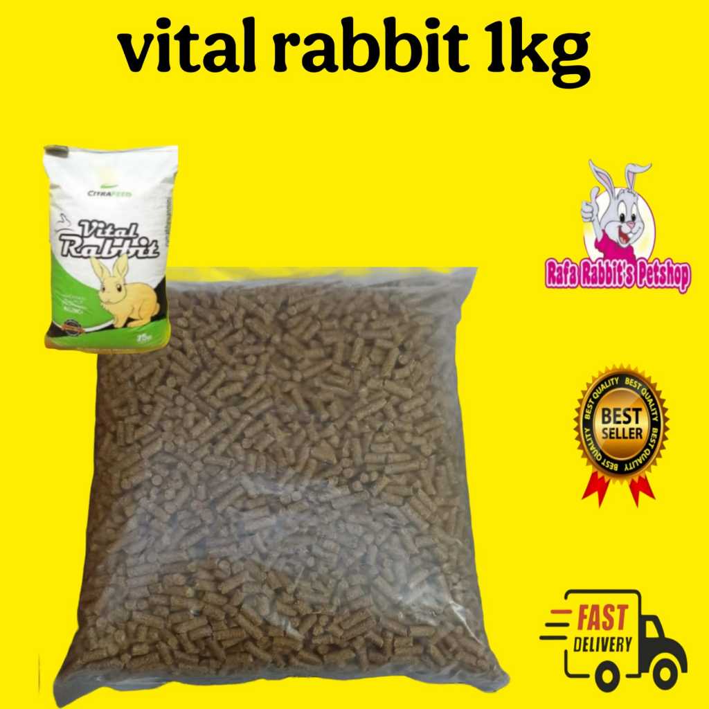 Produk Rafa Rabbit | Shopee Indonesia