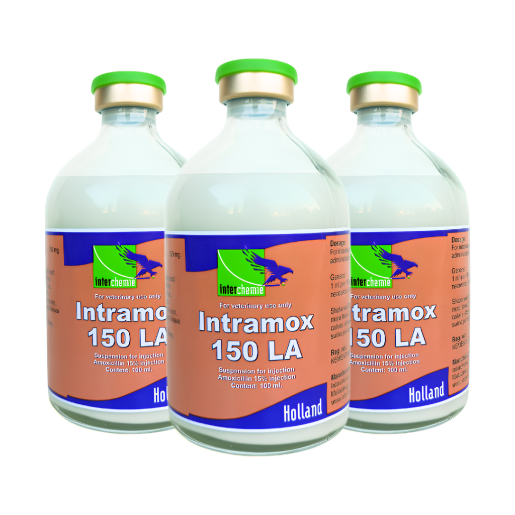 Jual INTRAMOX-150 LA 100 ML - Untuk Masalah Saluran Pernafasan Dan ...