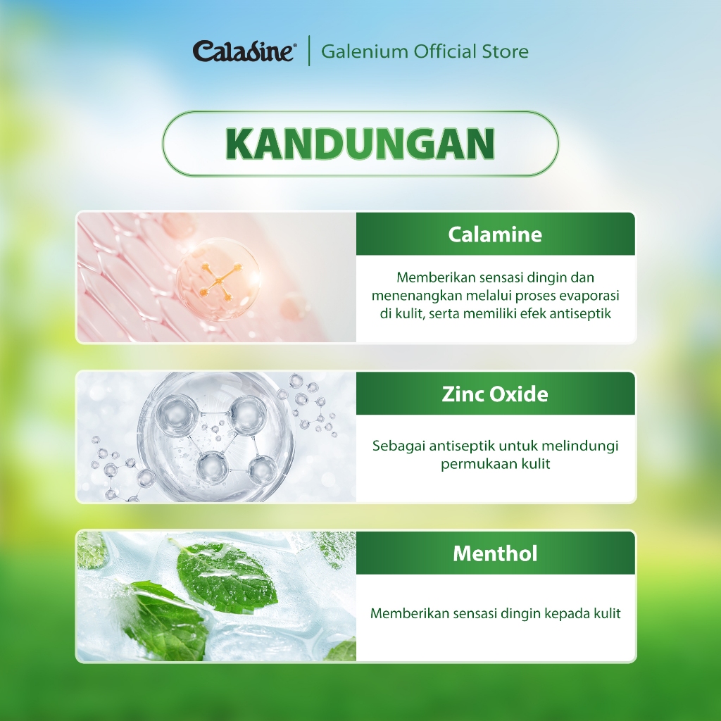 Jual Caladine Powder Original 220gr, Bedak Gatal | Shopee Indonesia