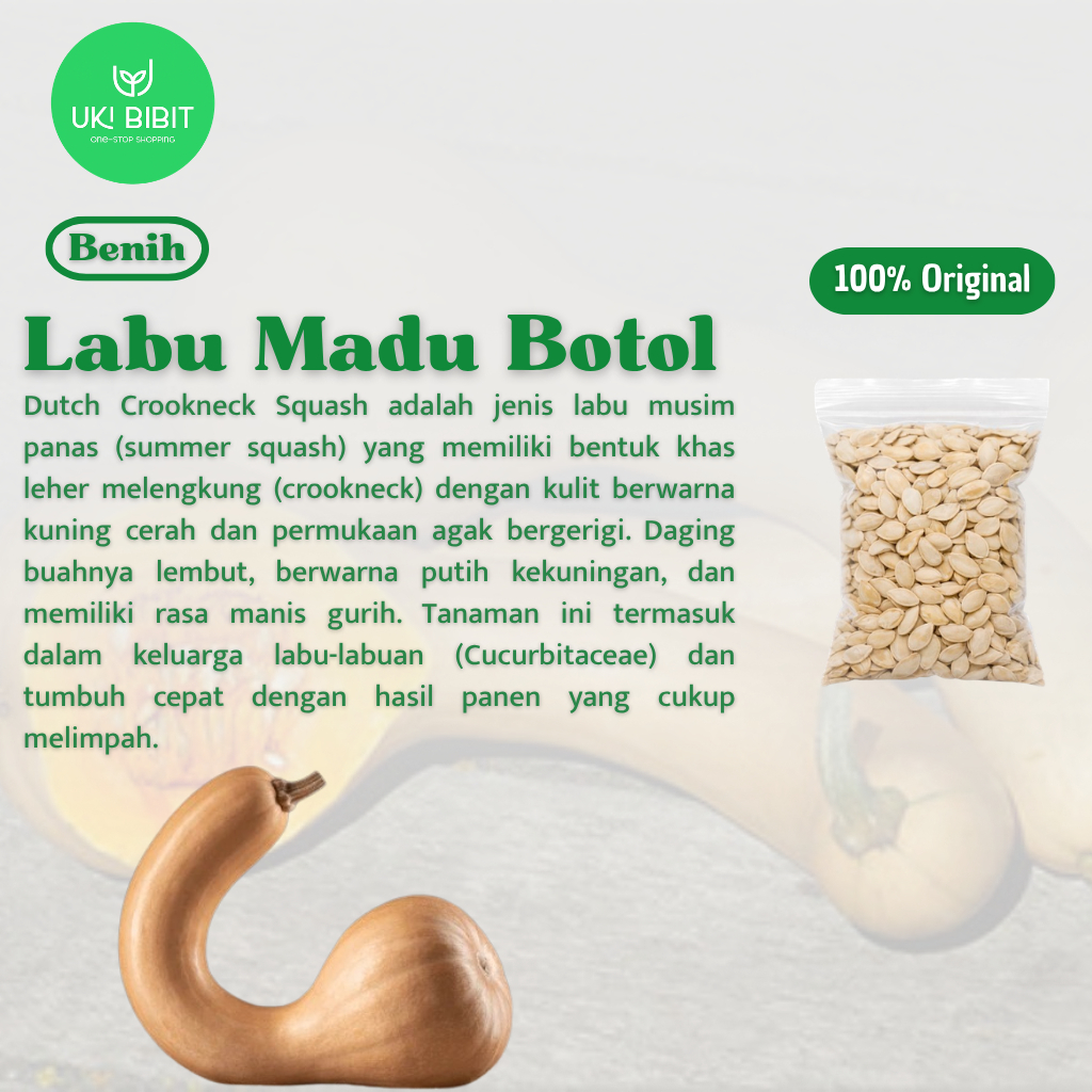 Jual ( 5 Butir ) Benih Biji Labu Madu Botol | Dutch Crookneck Squash ...