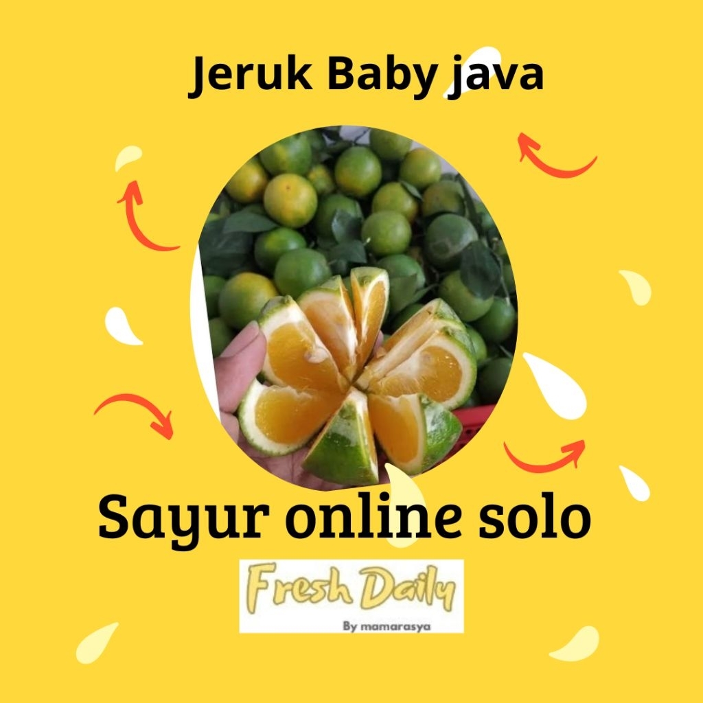 Jual jeruk baby java 1 kg | Shopee Indonesia