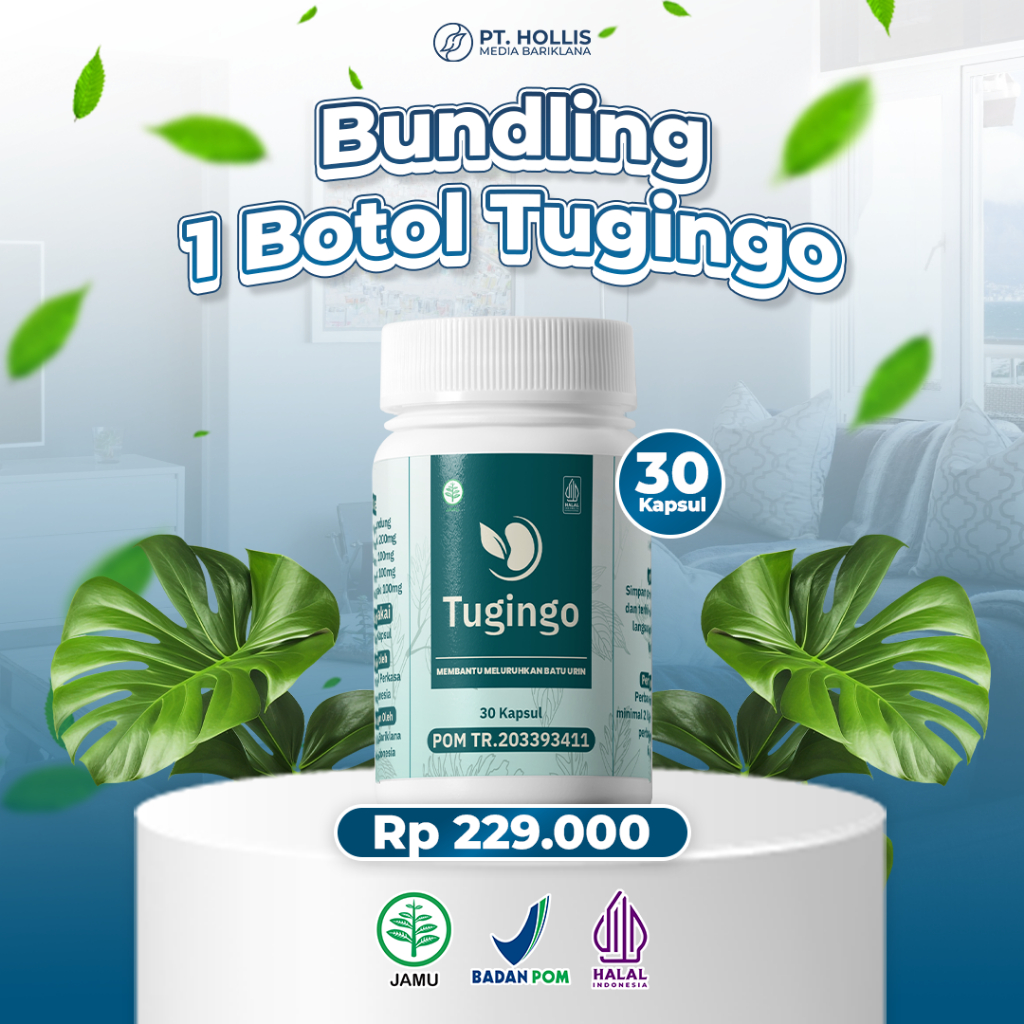 Hollis Tugingo Herbal Sakit Pinggang Ginjal