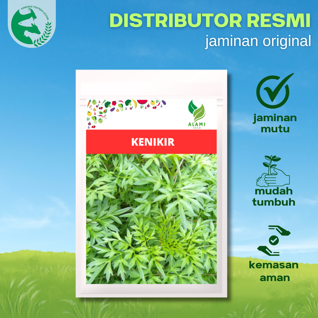 Benih Kenikir 10 gr Ribuan Biji ALAMI SEED Lebat Unggul Tanaman Herbal Lalapan dan Sayur Tidak Langu
