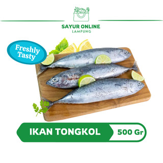 Ikan Tongkol 500 Gr - Ikan Segar