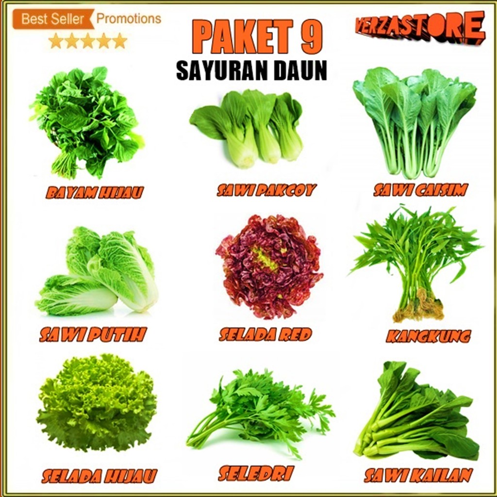 biji benih Paket Hemat 9 Macam Benih Sayuran Daun 30 Hari Panen Bayam  Sawi Pakcoy sawi putih sawi caisim sawi kailan Selada hijau selada red kangkung seledri  bibit unggul