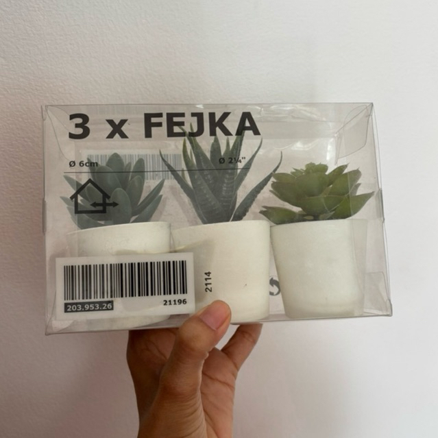 toilette kaktus Klobrille mit Spruch Kaktus Wut