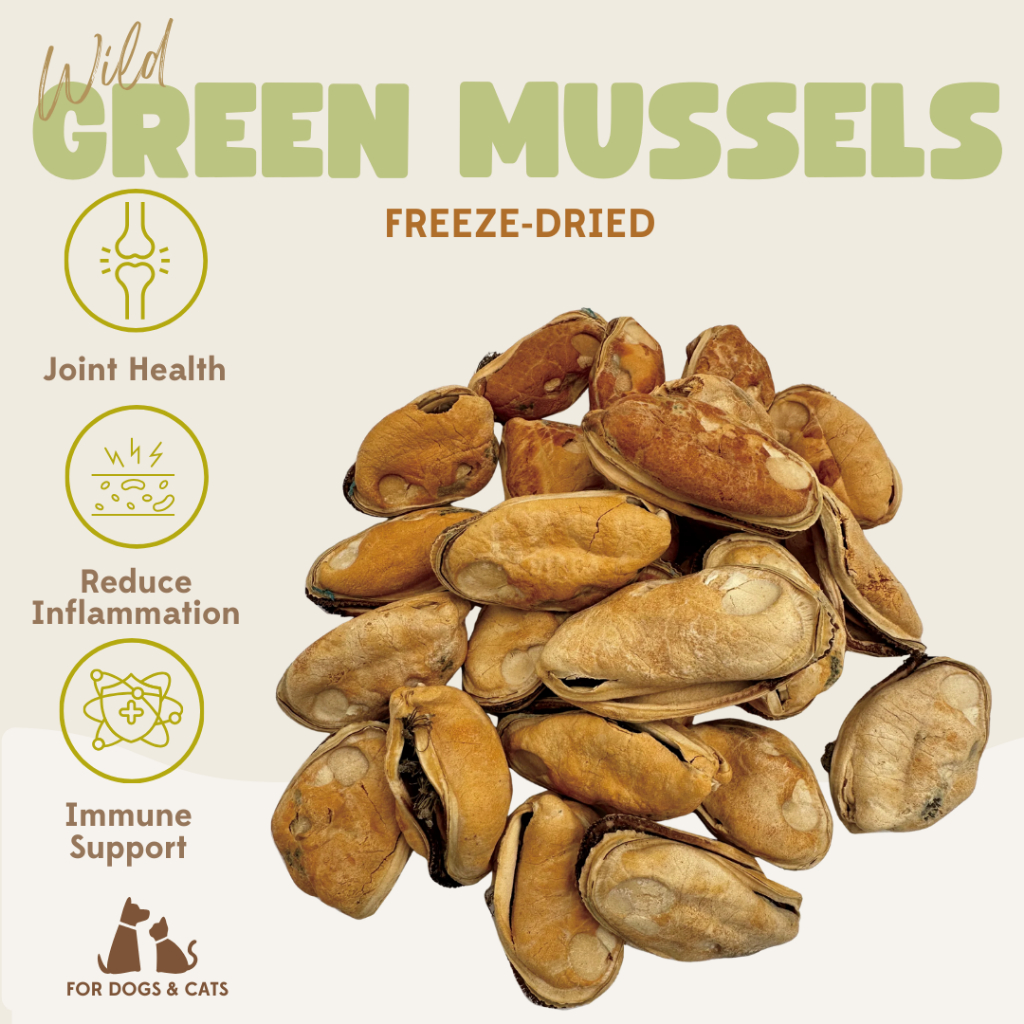 Jual New Zealand GREEN MUSSEL Freeze Dried ImportedTreats |100% Natural ...