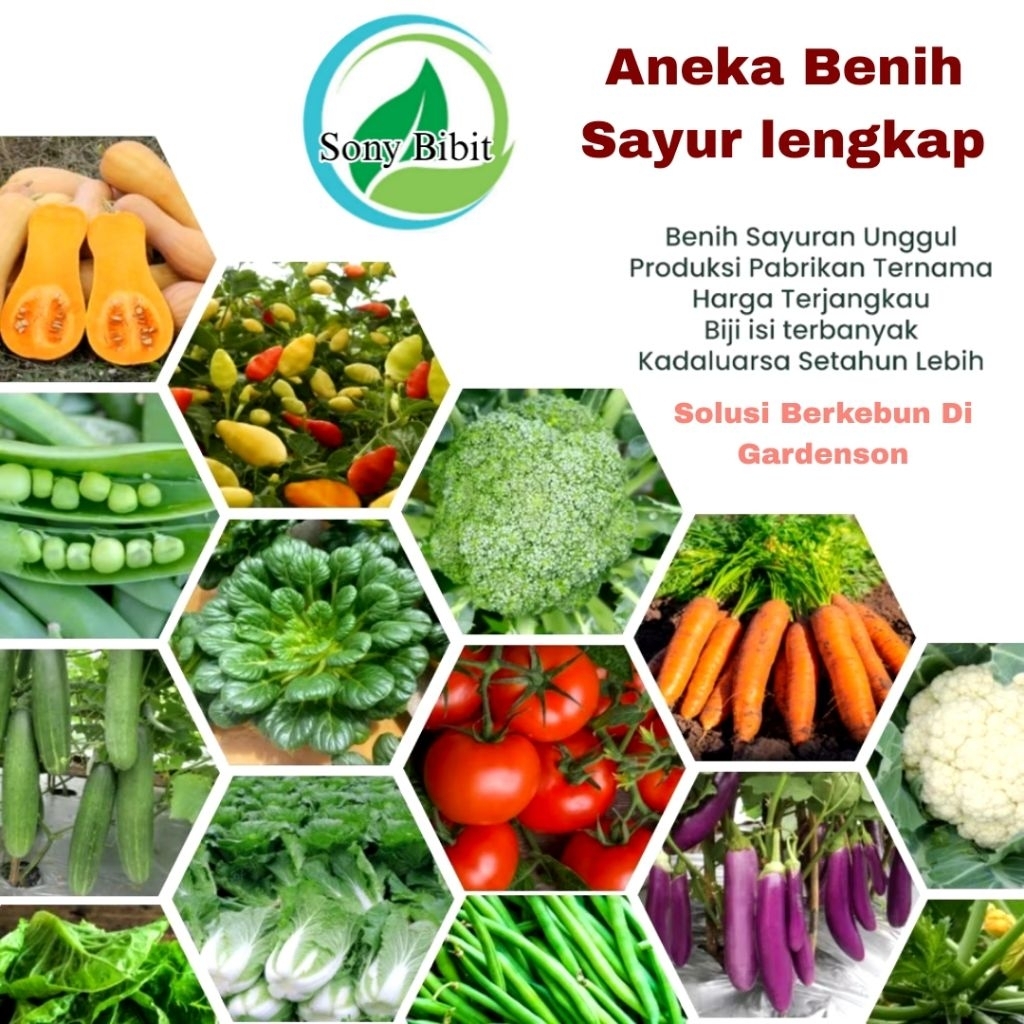 Aneka Bibit Benih Sayuran lengkap Kemasan Ekonomis