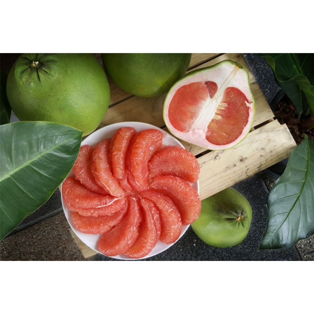 Jual Jeruk Bali Kwalitas No 1 1pcs 1kg+-2kg isi random | Shopee Indonesia