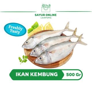 Ikan kembung 500 gr Segar / Fres
