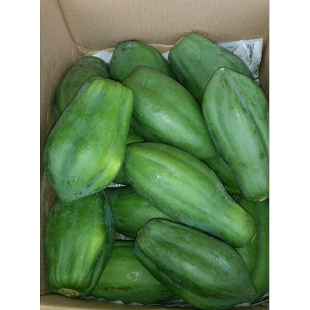 pepaya muda super 2kg |fresh dari perkebunan