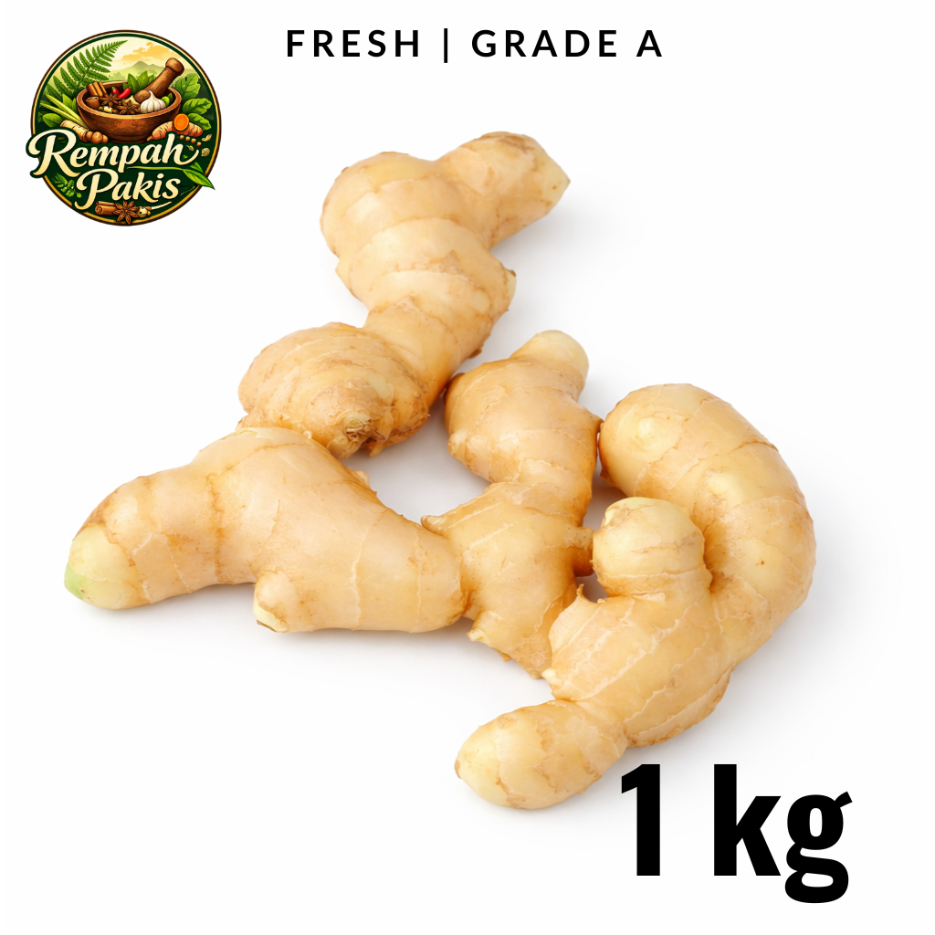 Jual Jahe 1kg Terlengkap & Harga Terbaru Juni 2026 | Shopee Indonesia