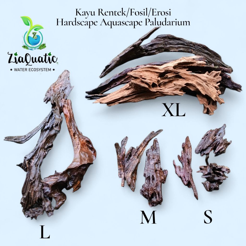 Jual Kayu Rentek/Kayu Erosi/Kayu Posil - Hardscape Aquascape Paludarium ...