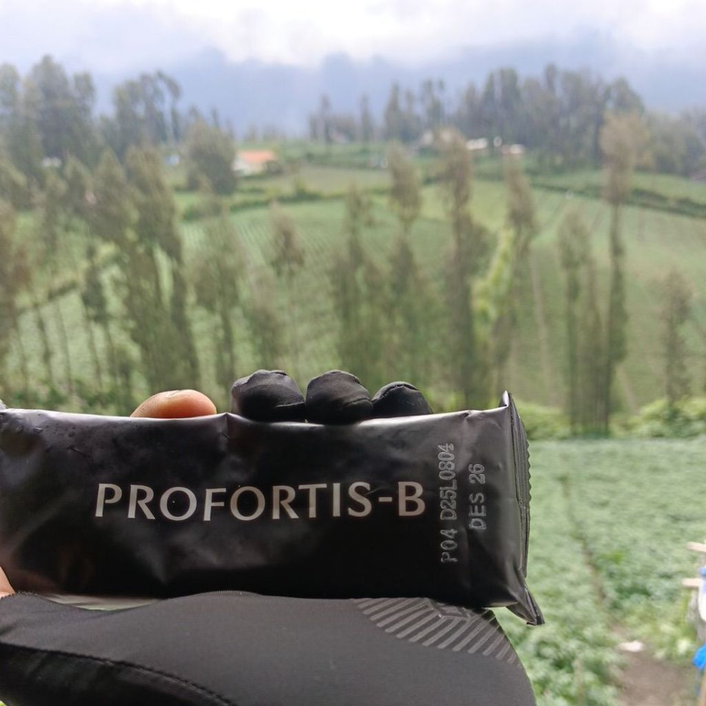 Jual ransum biskuit profortis b TNI desember 2026 | Shopee Indonesia