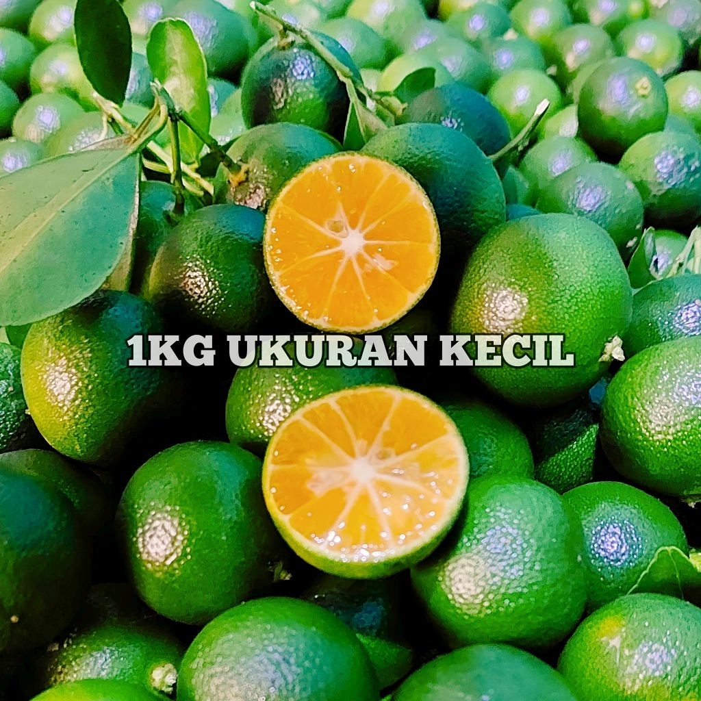 Jual 1KG JERUK SONKIT / JERUK KASTURI / KALAMANSI / KUNCI / LEMON CUI ...