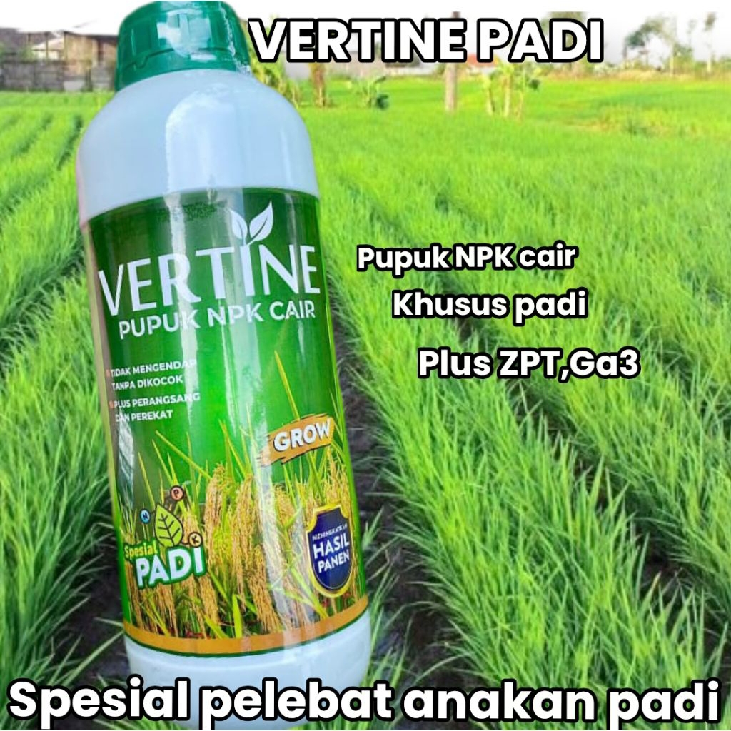 AMANAH FARMER Vertine Padi 1L Pupuk NPK ZPT GA3 / Cairan Penyubur Tanaman Pelebat Anakan Padi