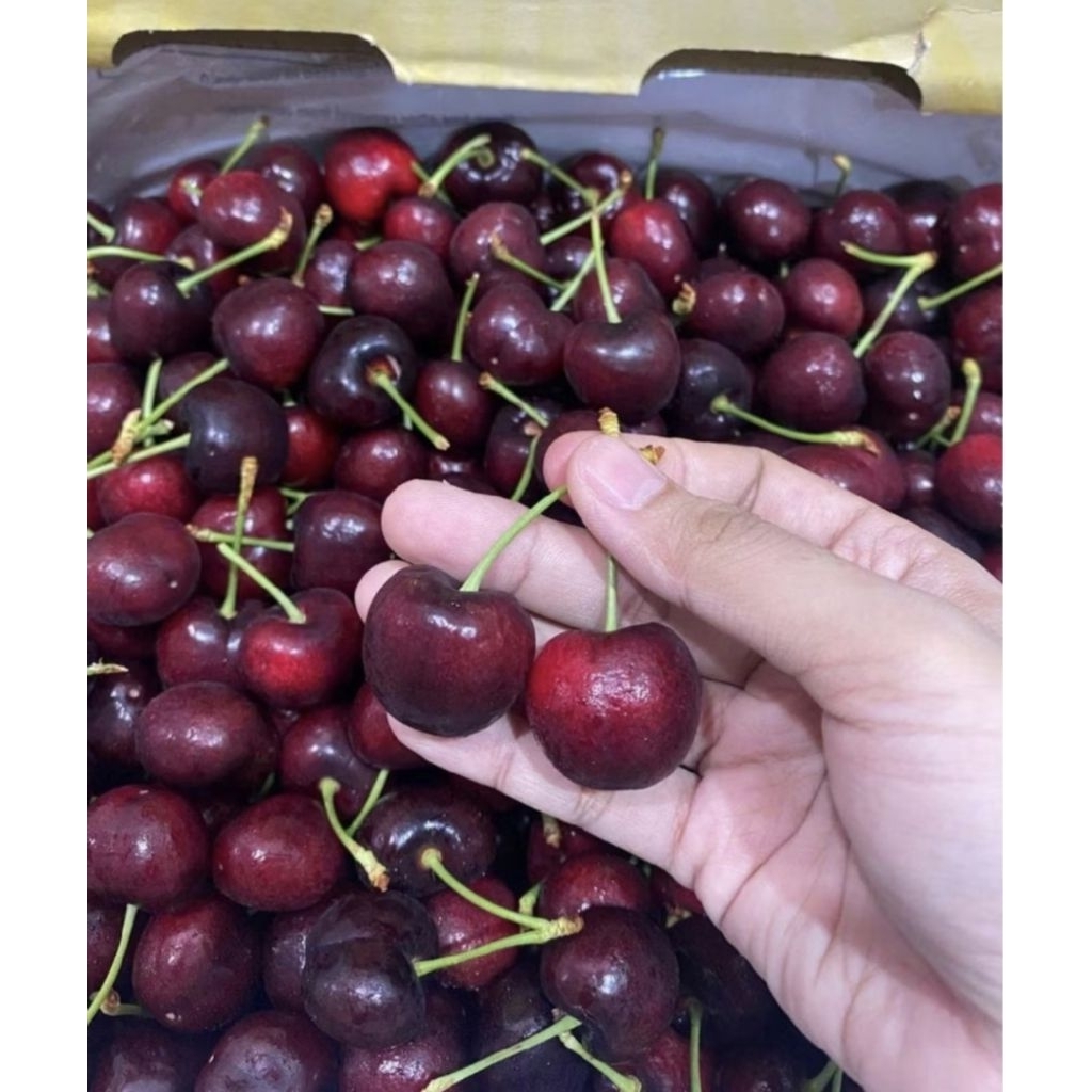 Jual cherry segar Harga Terbaik & Termurah Juni 2026 | Shopee Indonesia