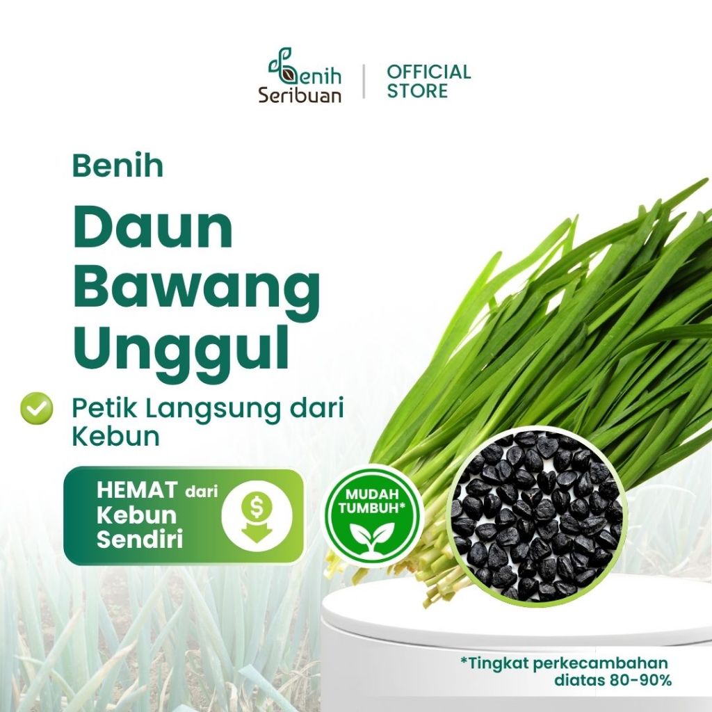Benih Seribuan - 40 Benih Sayuran Daun Bawang Unggul