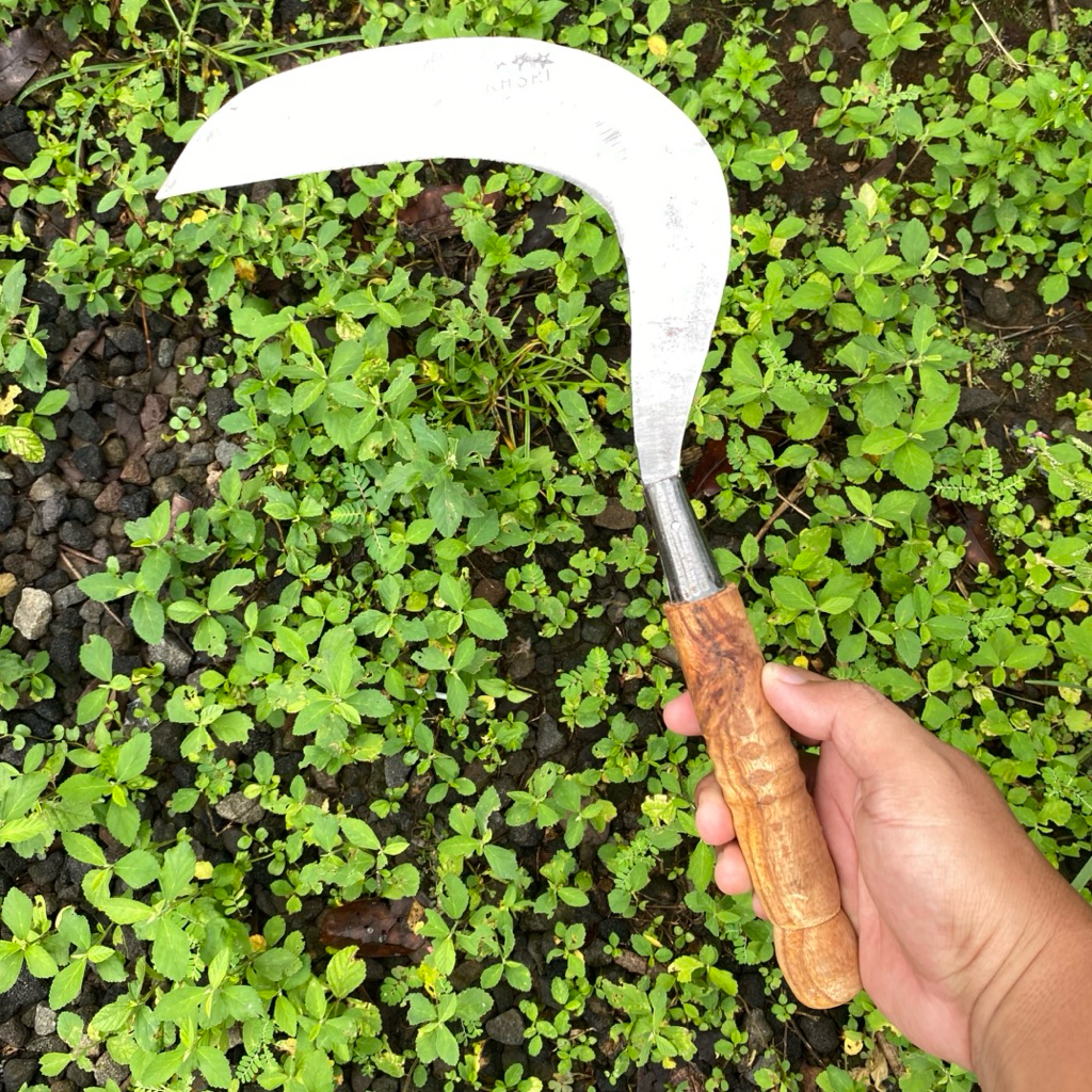 Jual Alat Pertanian Perkebunan Pemangkas Rumput Tradisional kasri putih ...