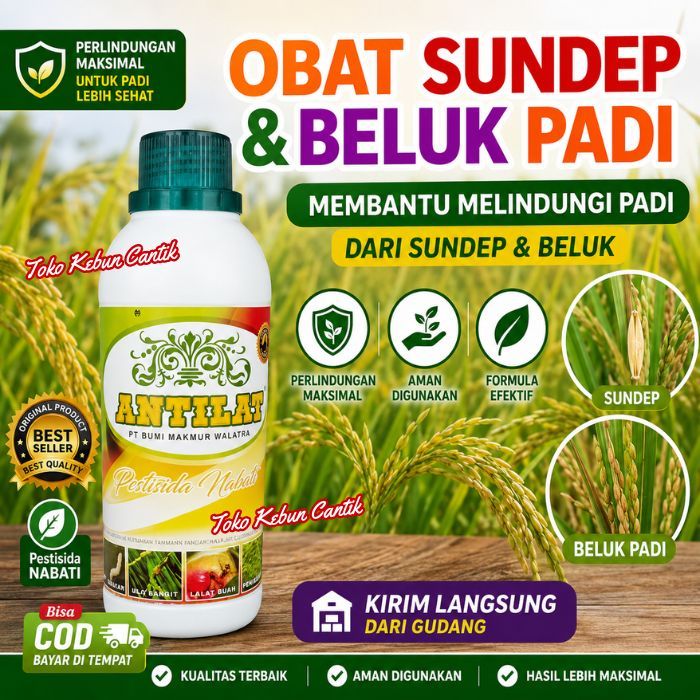 Jual Obat Sundep Terlengkap & Harga Terbaru Juli 2026 | Shopee Indonesia