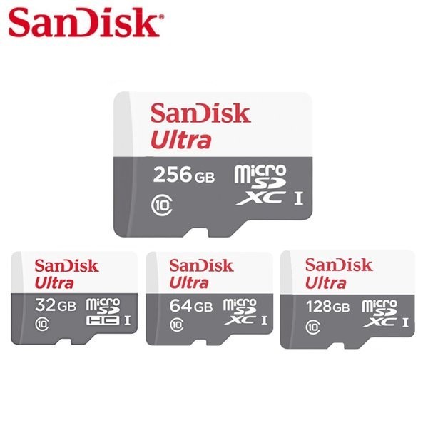 Jual Sandisk Memory Card Micro SDHC Class 10 2GB / 4GB / 8GB / 16GB ...