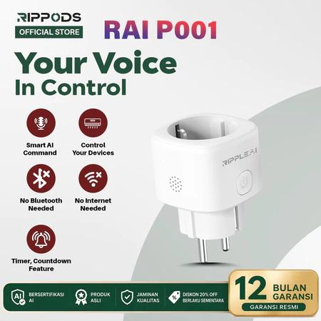 AI Voice Control Smart Socket 16A (Varian RAI P001)