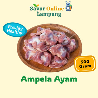 Ampela Ayam Segar 500 gr