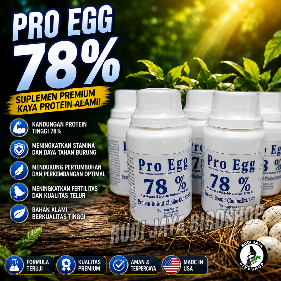 Jual 1 Egg Protein Terlengkap & Harga Terbaru Juli 2026 | Shopee Indonesia