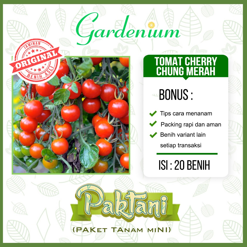 20 Benih Tomat Cherry Chung Merah Tanaman Sayur Paktani