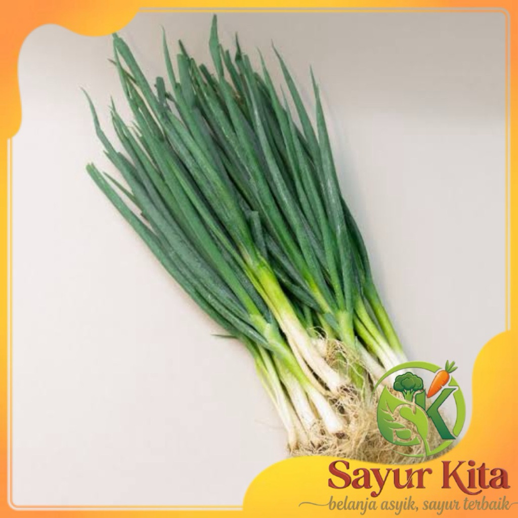 Jual Bawang Prei Terlengkap & Harga Terbaru Agustus 2026 | Shopee Indonesia
