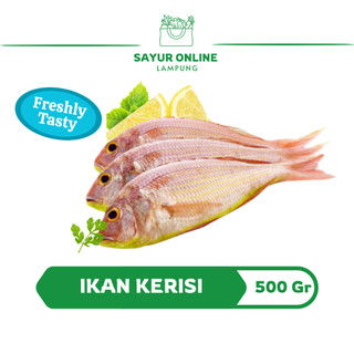 Ikan Kurisi 500 Gr
