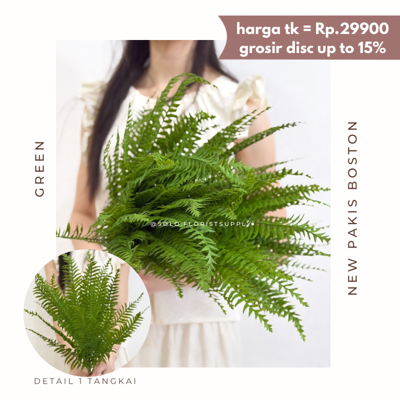 Jual NEW PAKIS BOSTON FERN ARTIFICIAL DEKORASI DEDAUNAN DAUN HIJAU ...