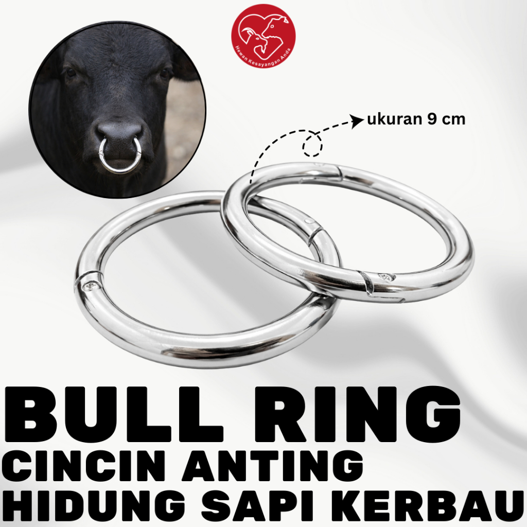 Jual Bull Ring Cincin Anting Hidung Sapi Kerbau Lembu Bahan Stainless ...