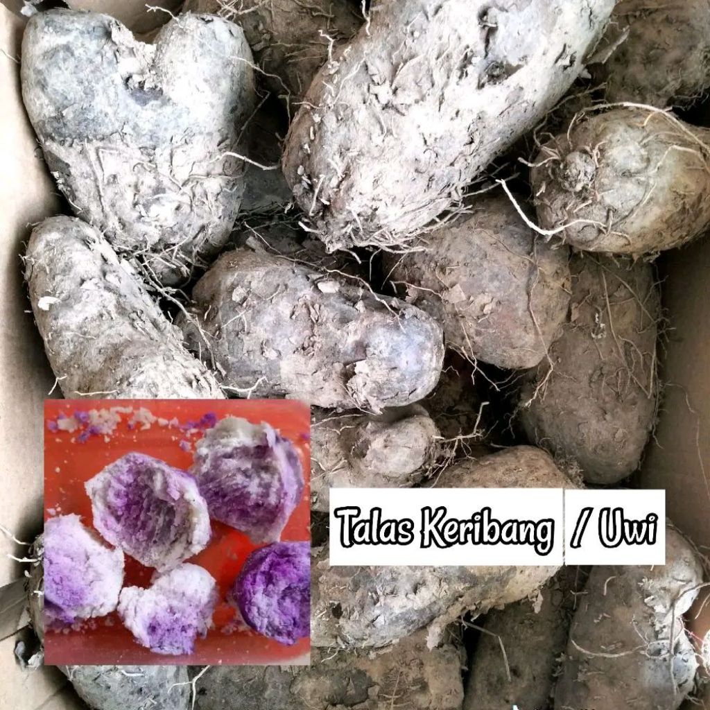Jual Uwi Ungu / Talas Keribang / Taisu / Tuace / Purple Yam / Ubi Ungu ...